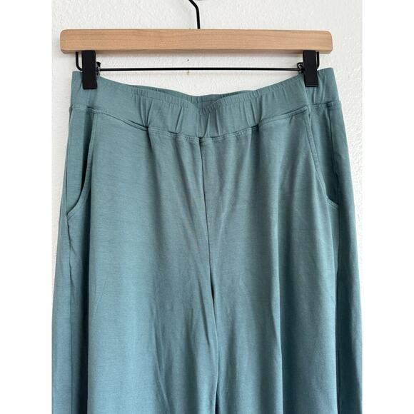 Lisa Bayne Pull On Cropped Pants Size Medium Petite Seaglass Stretch High Rise - Picture 4 of 6